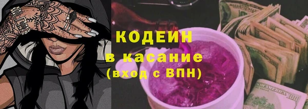дмт Гусь-Хрустальный