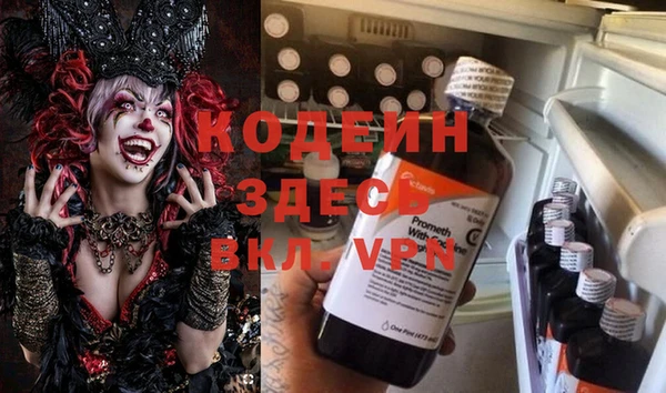 дмт Гусь-Хрустальный