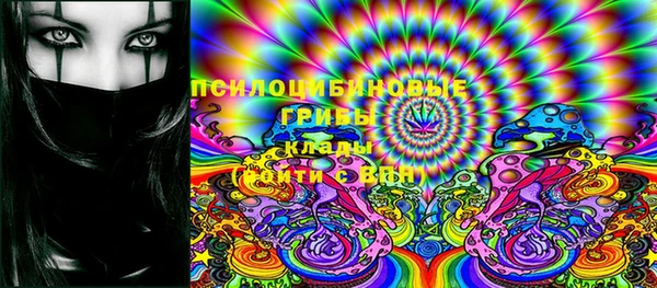 дмт Гусь-Хрустальный