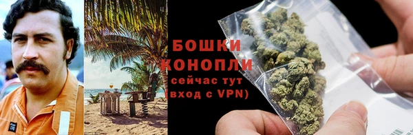 ALPHA-PVP Гусев