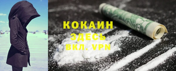 дмт Гусь-Хрустальный